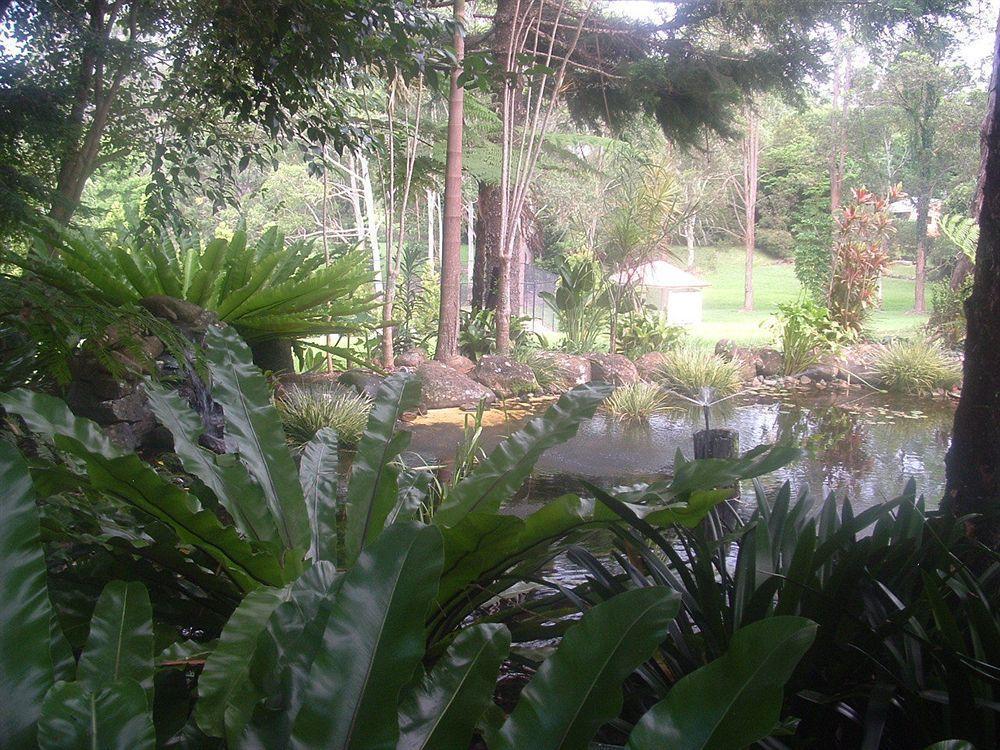 Bendles Cottages Maleny Bagian luar foto