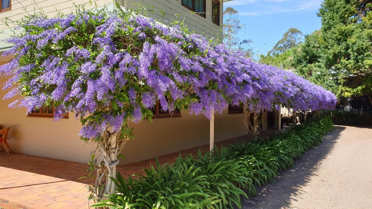 Bendles Cottages Maleny Bagian luar foto